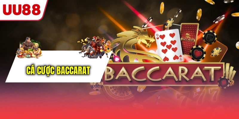 Cá cược Baccarat