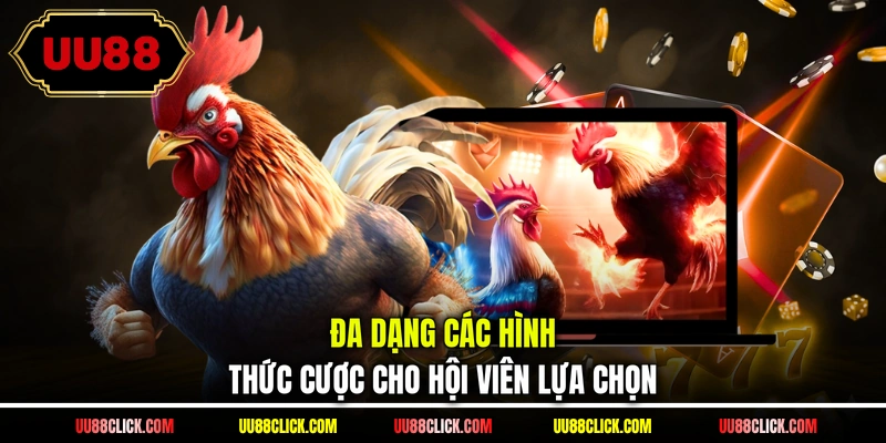 Đa dạng các hình thức cược cho hội viên lựa chọn 