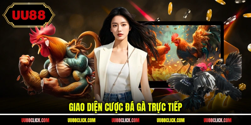 Giao diện cược đá gà trực tiếp