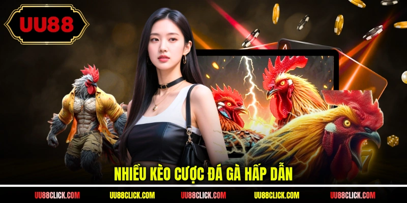 Nhiều kèo cược đá gà hấp dẫn